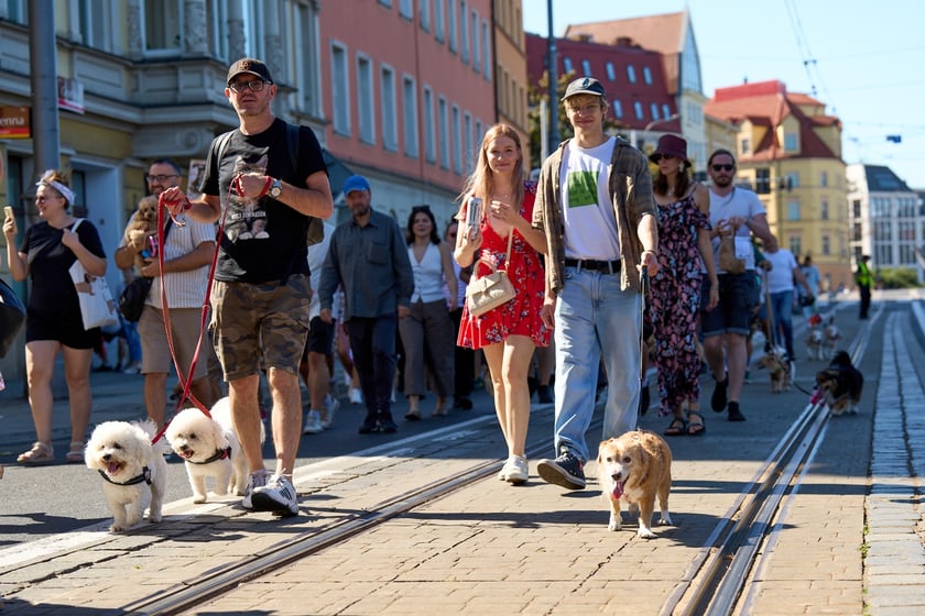 VI Parada Ps&oacute;w Wrocławskich przeszła przez miasto w niedzielę 21 września 2025&nbsp;