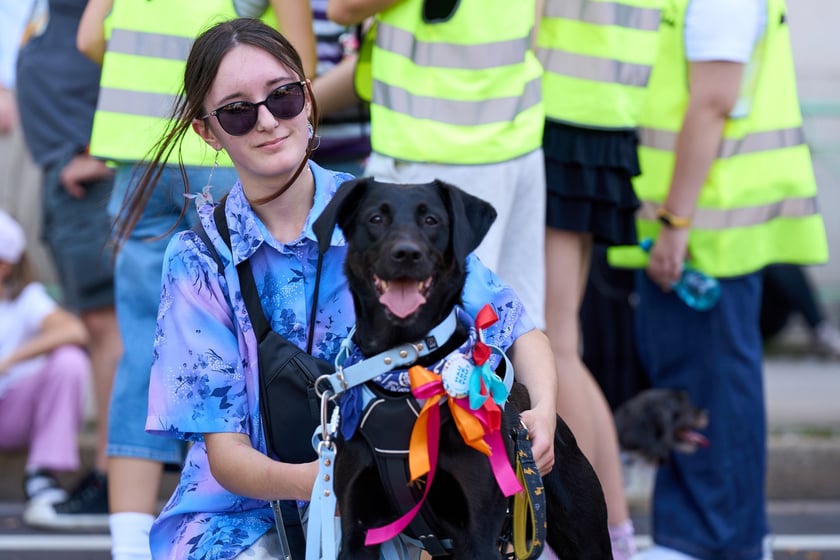 VI Parada Ps&oacute;w Wrocławskich przeszła przez miasto w niedzielę 21 września 2025&nbsp;