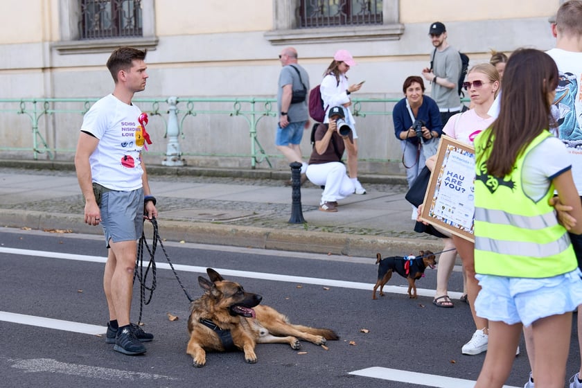 VI Parada Ps&oacute;w Wrocławskich przeszła przez miasto w niedzielę 21 września 2025&nbsp;