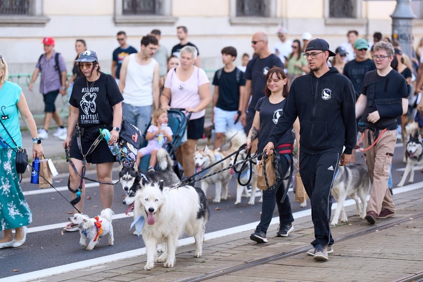 VI Parada Ps&oacute;w Wrocławskich przeszła przez miasto w niedzielę 21 września 2025&nbsp;