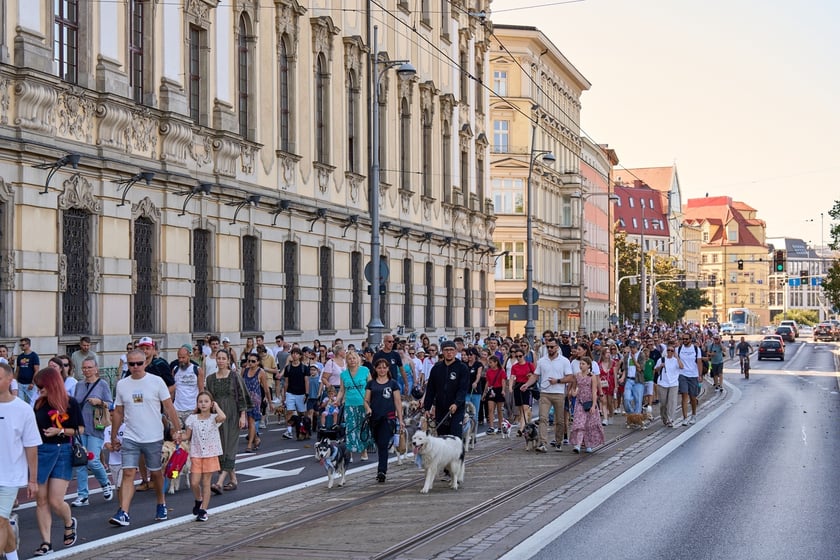 VI Parada Ps&oacute;w Wrocławskich przeszła przez miasto w niedzielę 21 września 2025&nbsp;