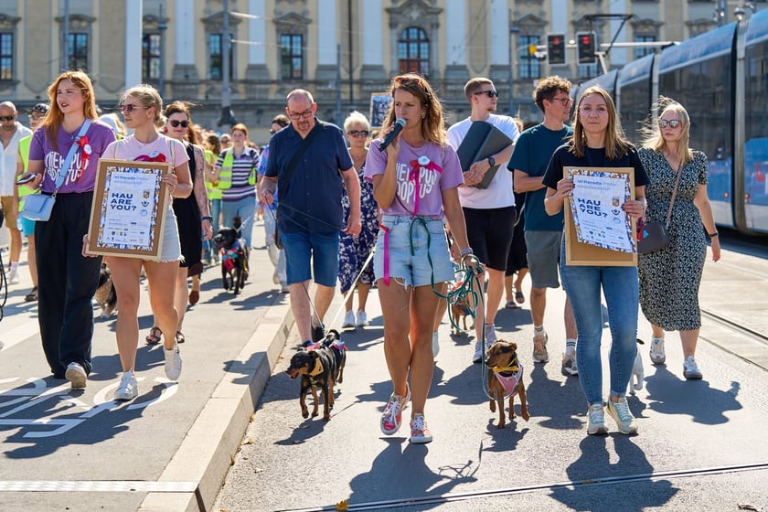 VI Parada Ps&oacute;w Wrocławskich przeszła przez miasto w niedzielę 21 września 2025&nbsp;