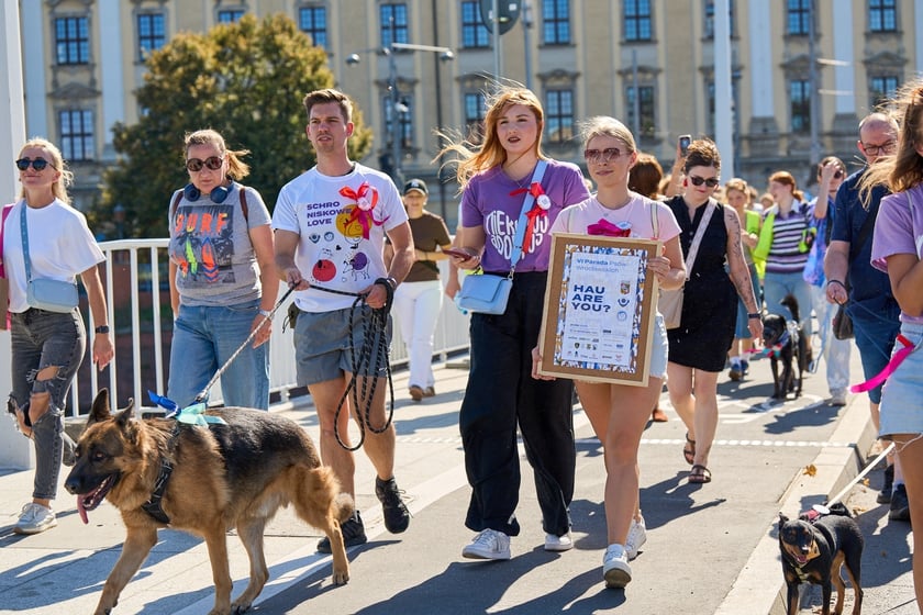 VI Parada Ps&oacute;w Wrocławskich przeszła przez miasto w niedzielę 21 września 2025&nbsp;