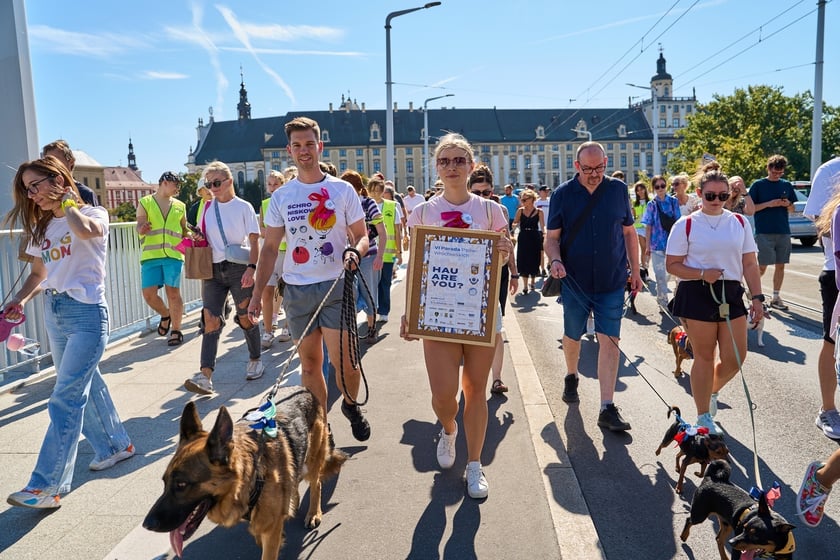 VI Parada Ps&oacute;w Wrocławskich przeszła przez miasto w niedzielę 21 września 2025&nbsp;