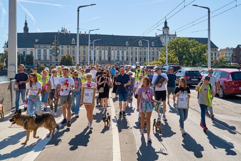 VI Parada Ps&oacute;w Wrocławskich przeszła przez miasto w niedzielę 21 września 2025&nbsp;