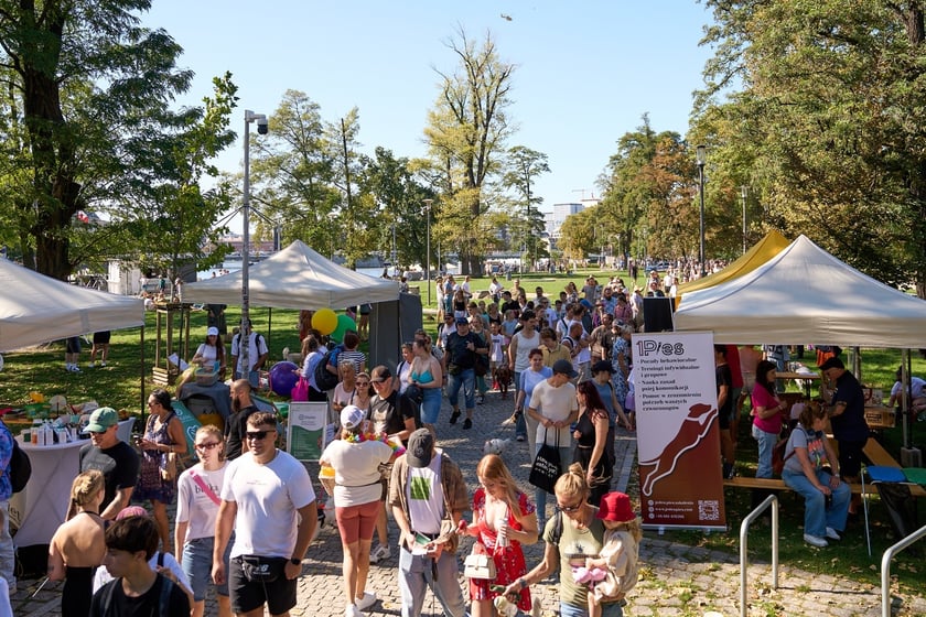 VI Parada Ps&oacute;w Wrocławskich przeszła przez miasto w niedzielę 21 września 2025&nbsp;