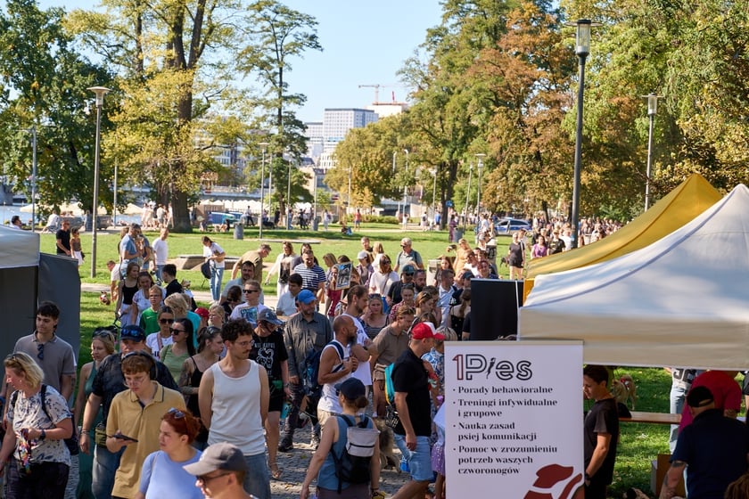 VI Parada Ps&oacute;w Wrocławskich przeszła przez miasto w niedzielę 21 września 2025&nbsp;