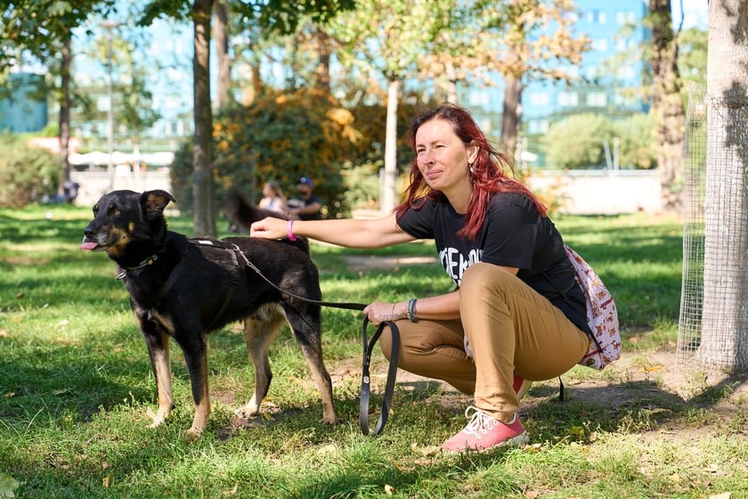 VI Parada Ps&oacute;w Wrocławskich przeszła przez miasto w niedzielę 21 września 2025&nbsp;