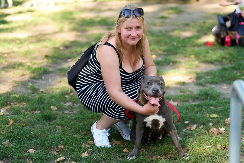 VI Parada Ps&oacute;w Wrocławskich przeszła przez miasto w niedzielę 21 września 2025&nbsp;