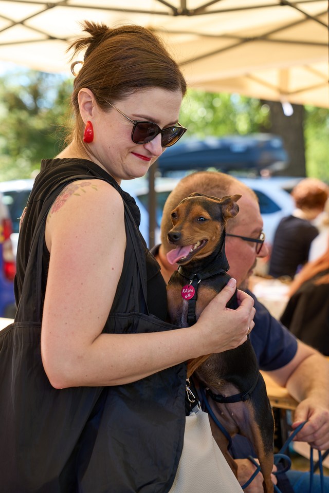 VI Parada Ps&oacute;w Wrocławskich przeszła przez miasto w niedzielę 21 września 2025&nbsp;