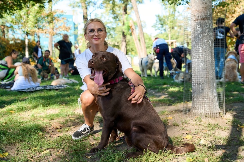 VI Parada Ps&oacute;w Wrocławskich przeszła przez miasto w niedzielę 21 września 2025&nbsp;