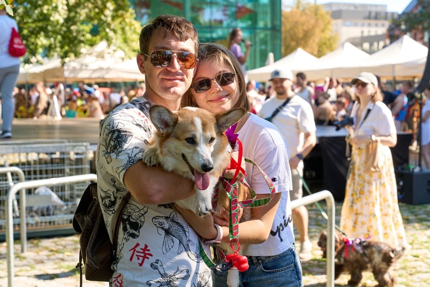 VI Parada Ps&oacute;w Wrocławskich przeszła przez miasto w niedzielę 21 września 2025&nbsp;