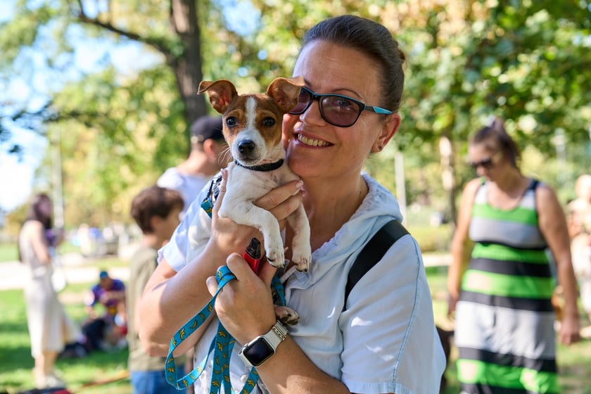 VI Parada Ps&oacute;w Wrocławskich przeszła przez miasto w niedzielę 21 września 2025&nbsp;