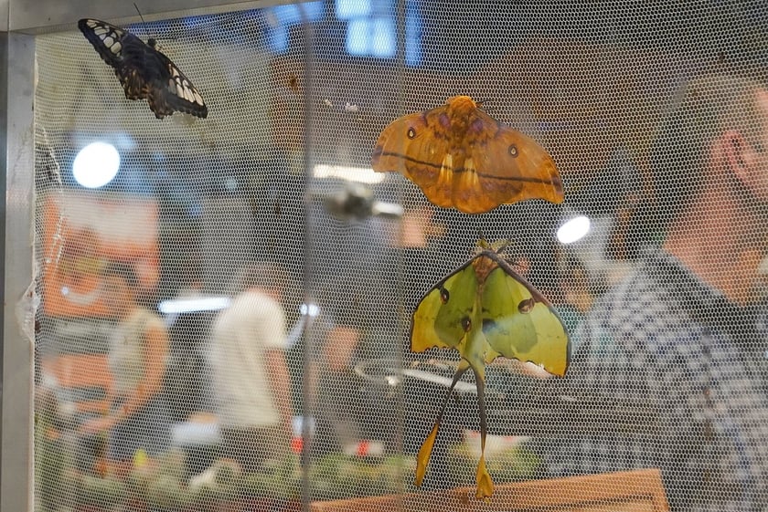 Targi ZooEgzotyka w Hali Orbita w niedzielę 21 września 2025