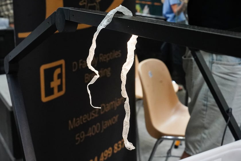 Targi ZooEgzotyka w Hali Orbita w niedzielę 21 września 2025