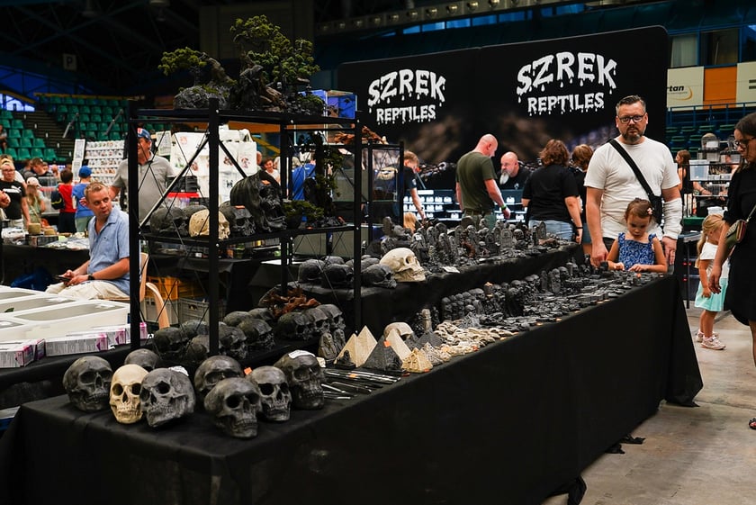 Targi ZooEgzotyka w Hali Orbita w niedzielę 21 września 2025