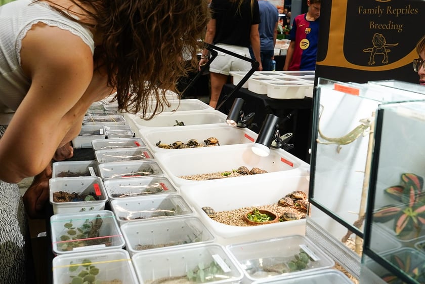 Targi ZooEgzotyka w Hali Orbita w niedzielę 21 września 2025