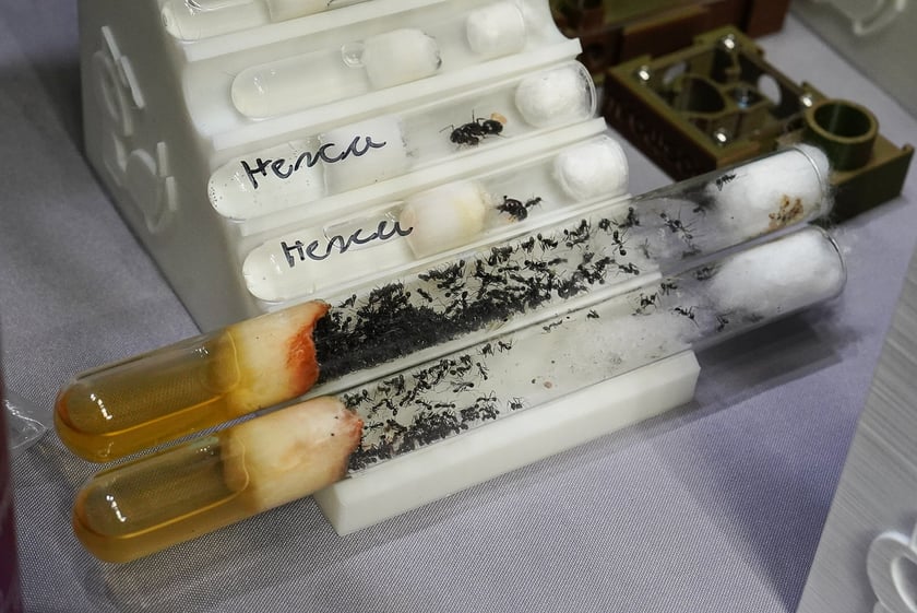 Targi ZooEgzotyka w Hali Orbita w niedzielę 21 września 2025