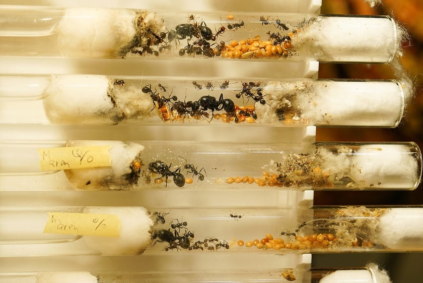 Targi ZooEgzotyka w Hali Orbita w niedzielę 21 września 2025