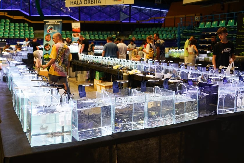 Targi ZooEgzotyka w Hali Orbita w niedzielę 21 września 2025