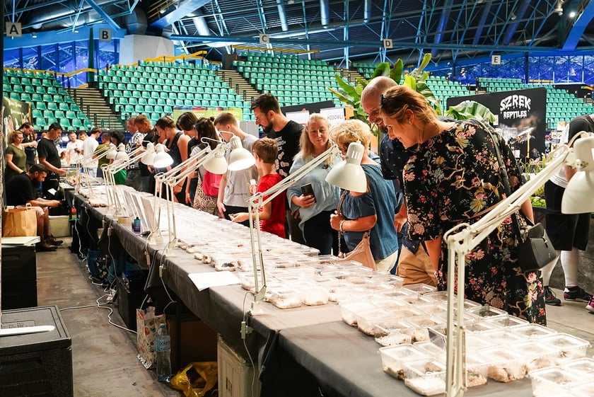 Targi ZooEgzotyka w Hali Orbita w niedzielę 21 września 2025