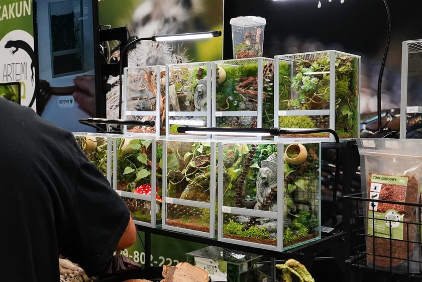 Targi ZooEgzotyka w Hali Orbita w niedzielę 21 września 2025