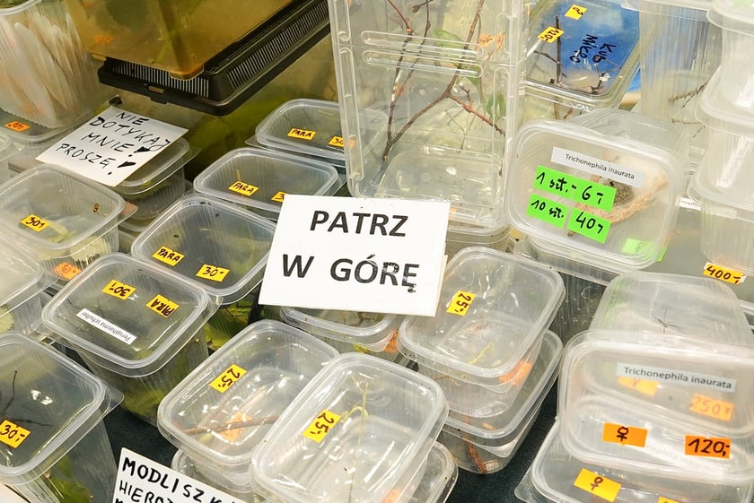 Targi ZooEgzotyka w Hali Orbita w niedzielę 21 września 2025