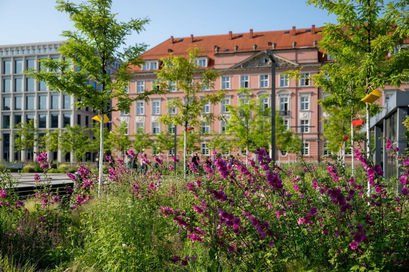 Nowy Targ po zmianie