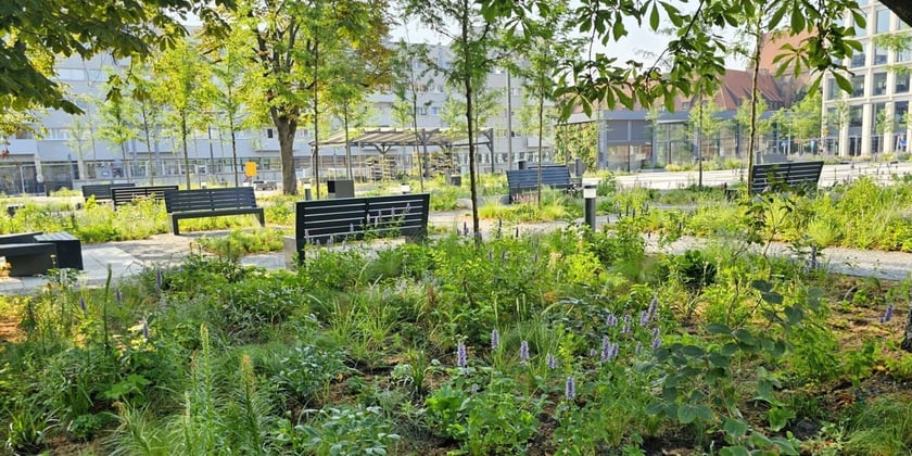 Nowy Targ po zmianie