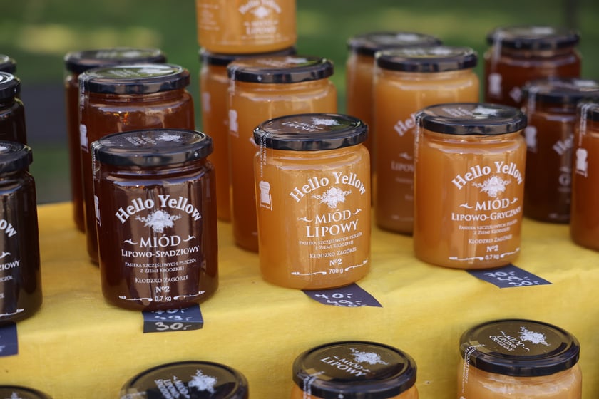 Aglomeracyjny Piknik Komunikacyjny we Wrocławiu