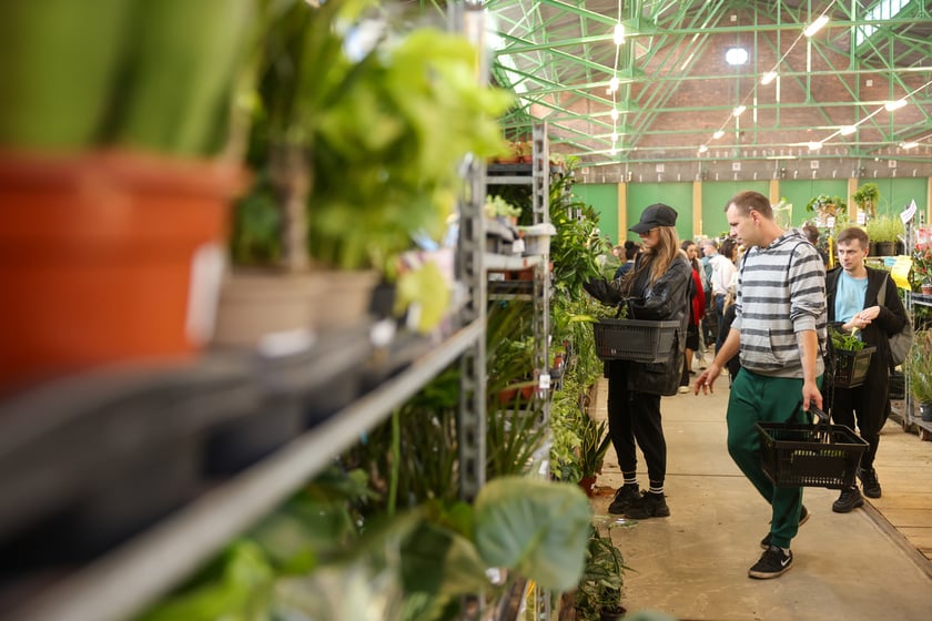 Festiwal Roślin w Czasoprzestrzeni