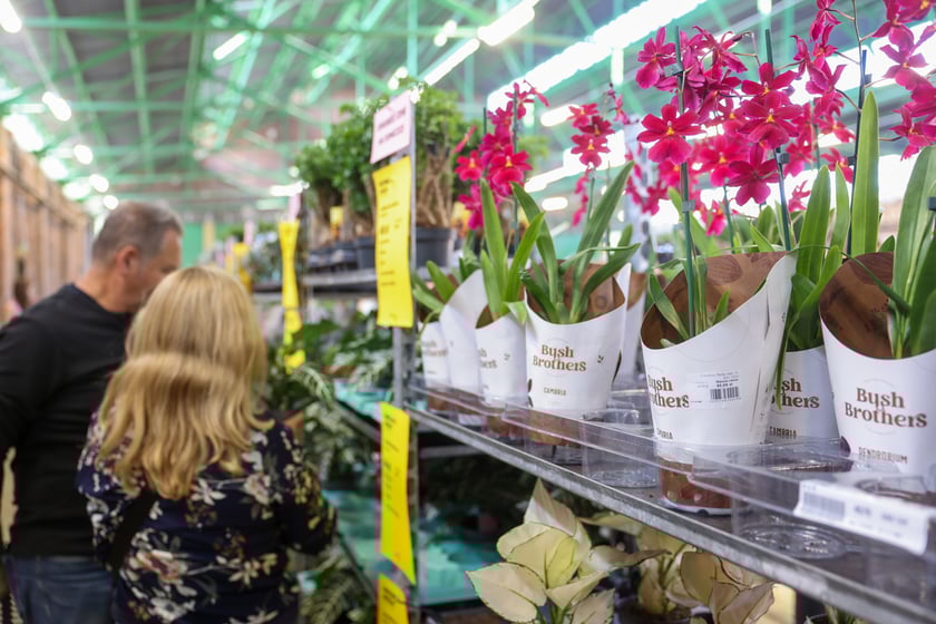 Festiwal Roślin w Czasoprzestrzeni