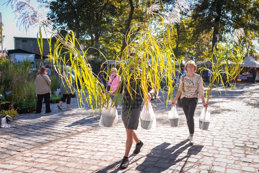 Kiermasz ogrodniczy Pamiętajcie o ogrodach na Partynicach