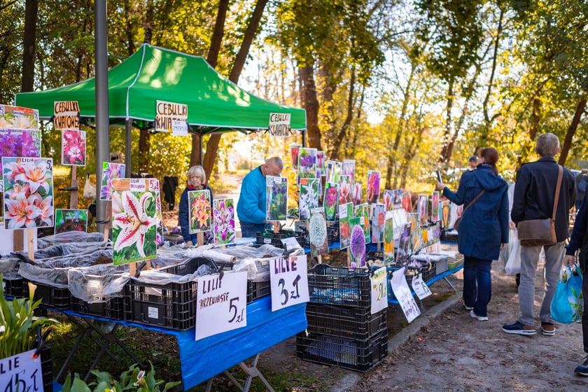 Kiermasz ogrodniczy Pamiętajcie o ogrodach na Partynicach
