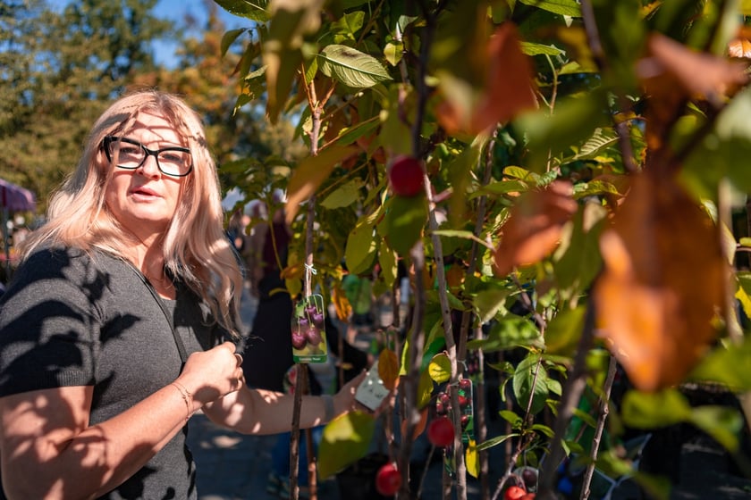 Kiermasz ogrodniczy Pamiętajcie o ogrodach na Partynicach