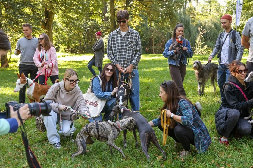Great Global Greyhound Walk 2025 we Wrocławiu, 28.09.2025 r.