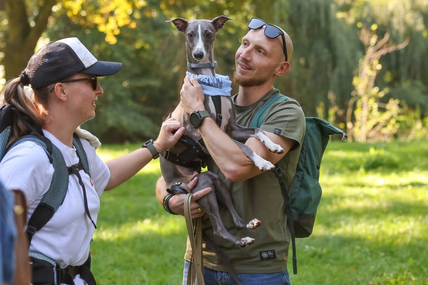 Great Global Greyhound Walk 2025 we Wrocławiu, 28.09.2025 r.
