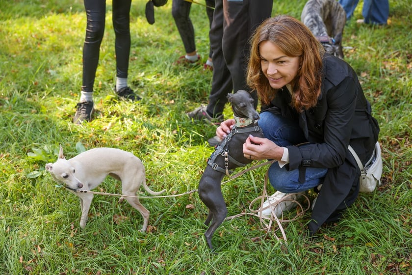 Great Global Greyhound Walk 2025 we Wrocławiu, 28.09.2025 r.