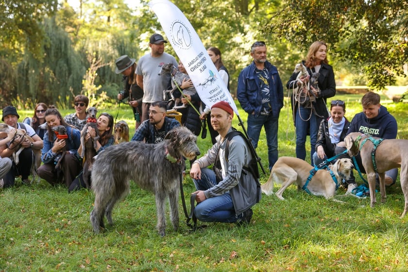 Great Global Greyhound Walk 2025 we Wrocławiu, 28.09.2025 r.
