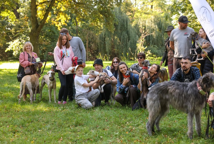 Great Global Greyhound Walk 2025 we Wrocławiu, 28.09.2025 r.