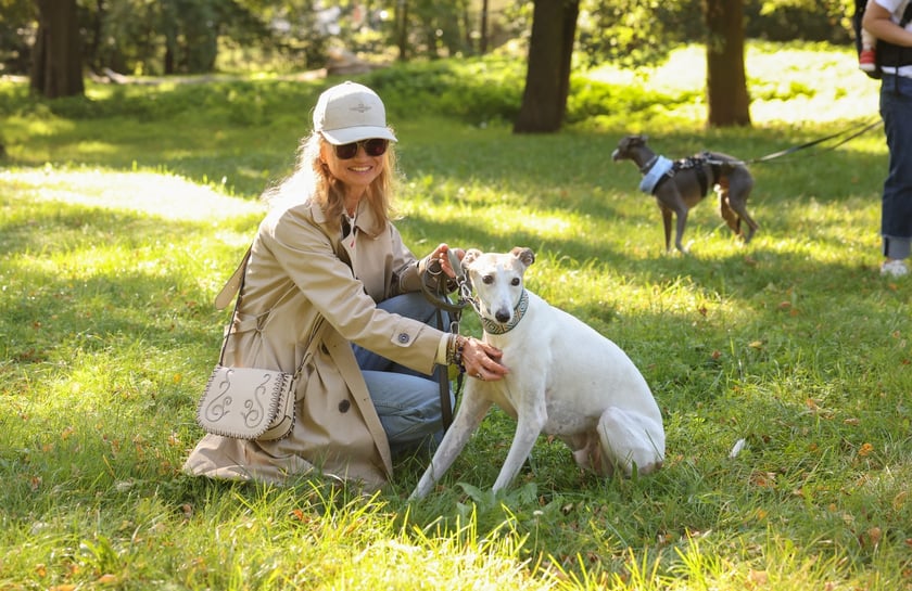Great Global Greyhound Walk 2025 we Wrocławiu, 28.09.2025 r.
