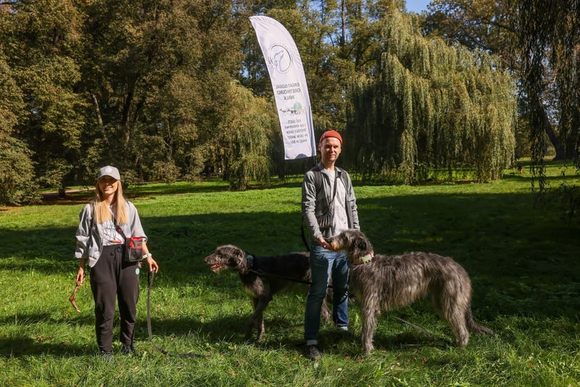Great Global Greyhound Walk 2025 we Wrocławiu, 28.09.2025 r.