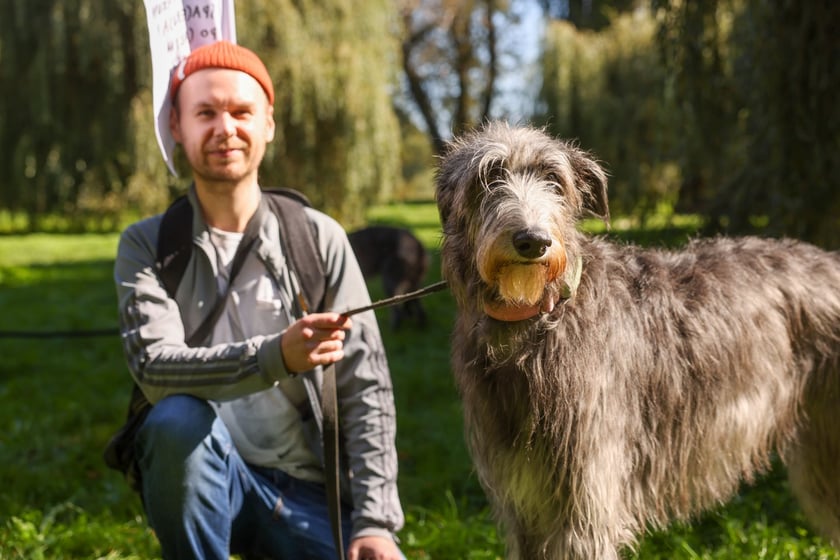 Great Global Greyhound Walk 2025 we Wrocławiu, 28.09.2025 r.