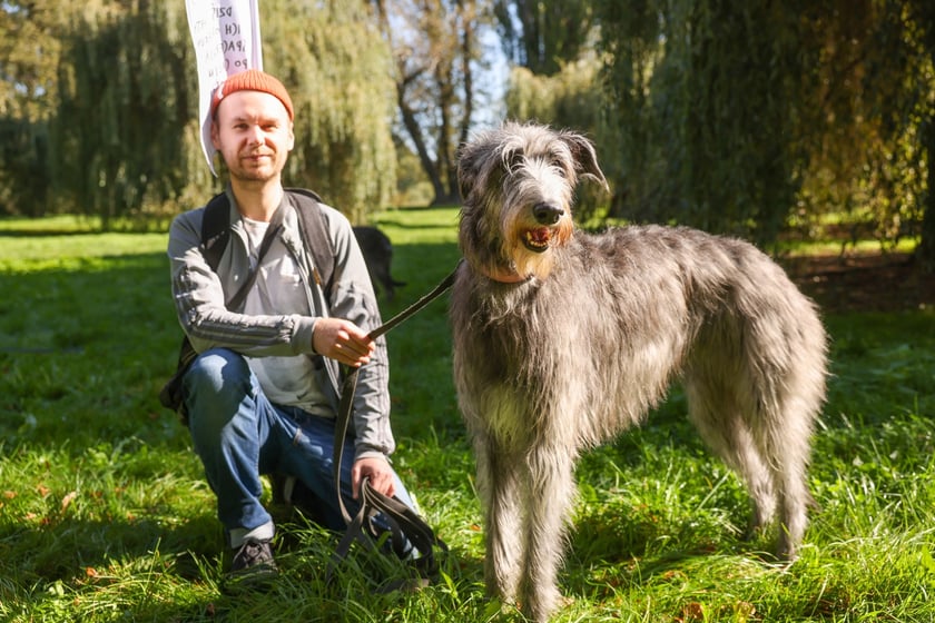 Great Global Greyhound Walk 2025 we Wrocławiu, 28.09.2025 r.