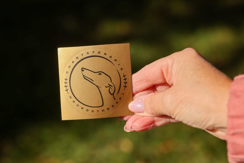 Great Global Greyhound Walk 2025 we Wrocławiu, 28.09.2025 r.