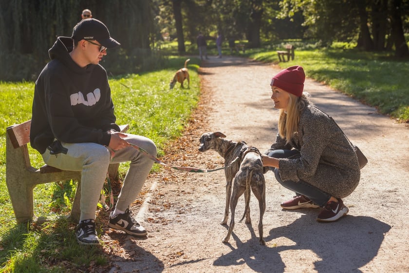 Great Global Greyhound Walk 2025 we Wrocławiu, 28.09.2025 r.