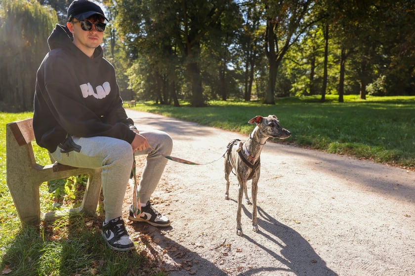 Great Global Greyhound Walk 2025 we Wrocławiu, 28.09.2025 r.