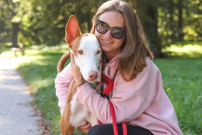 Great Global Greyhound Walk 2025 we Wrocławiu, 28.09.2025 r.