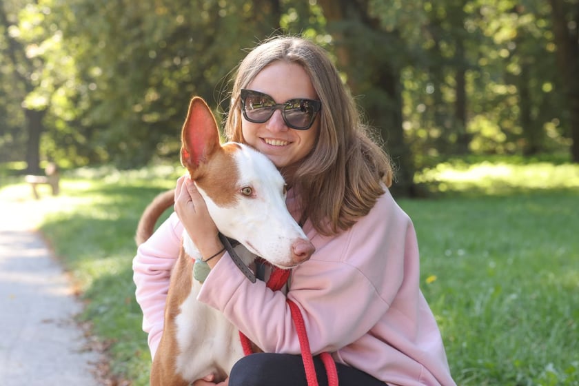 Great Global Greyhound Walk 2025 we Wrocławiu, 28.09.2025 r.