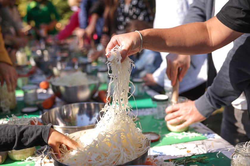 Święto sera i wina w Pawłowicach, wydarzenie Uniwersytetu Przyrodniczego we Wrocławiu